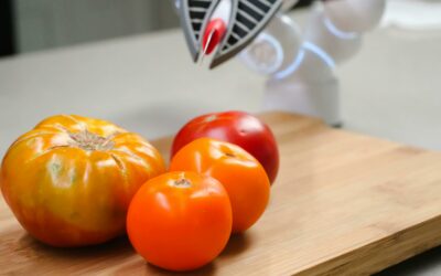 10 Conseils pour Trouver une Alternance dans la FoodTech